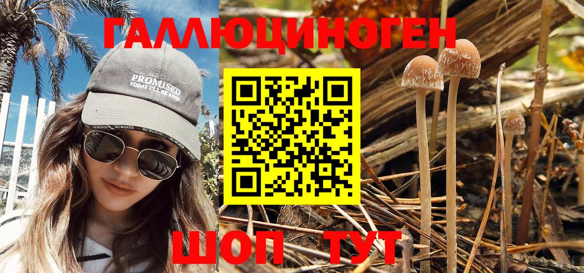 Псилоцибиновые грибы Psilocybe  Вход с VPN  Галлюциногенные грибы прущие грибы  Новочеркасск 