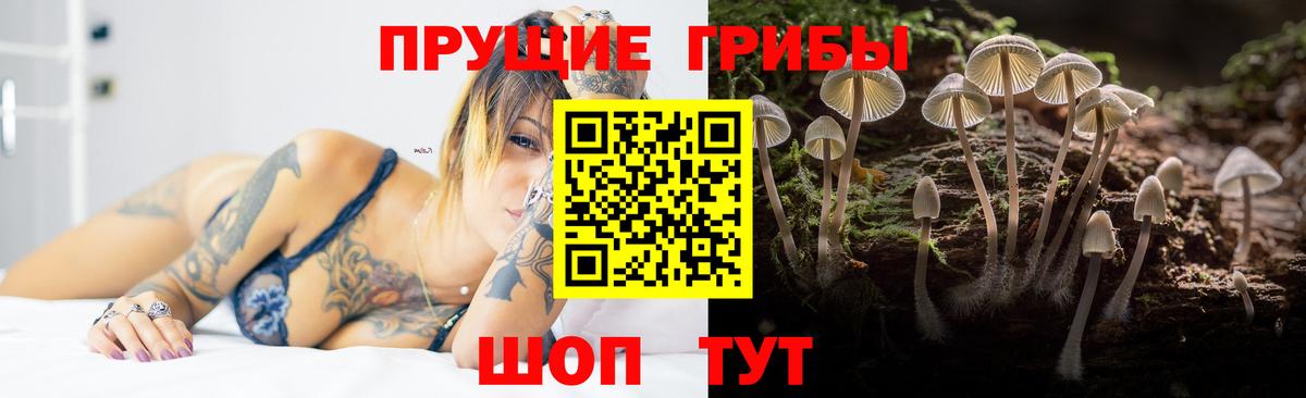 Галлюциногенные грибы Psilocybine cubensis Новочеркасск